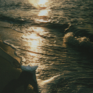 나의 바다 그대