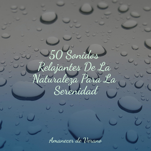 Recuerdo de la brisa melancólica