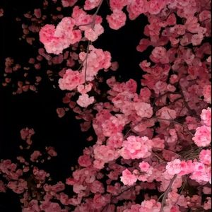 囚笼与野马