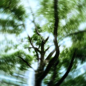 盛夏Midsummer（Prod.Morrow）