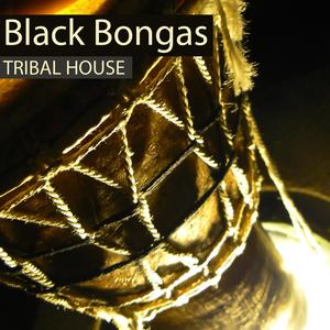 Toilette