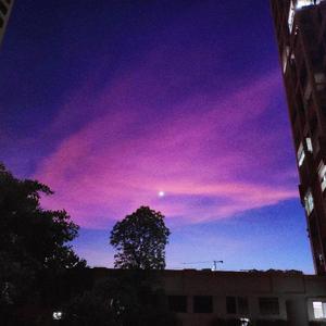 你在哪片星空