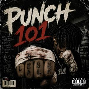 PUNCH-N 101