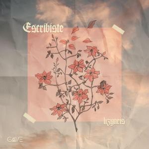 Escribiste