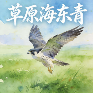 草原海东青 (快乐阳光)