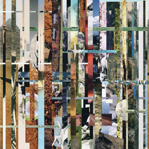 回忆是无声的刺客