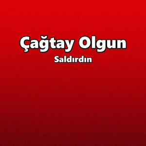 Saldırdın