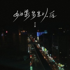 如果多年以后 (DJ阳少版)