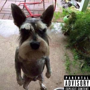 Grave You're Digging