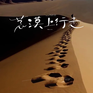 荒漠上行走