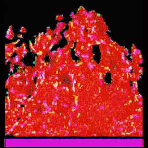 preparatory motion i1