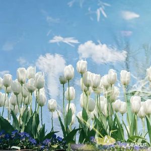 慈云不坠（念念不忘）