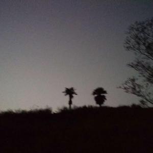这一生关于你的风景