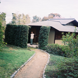 FOMO (stripped live)