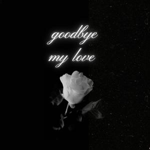 Goodbye my love