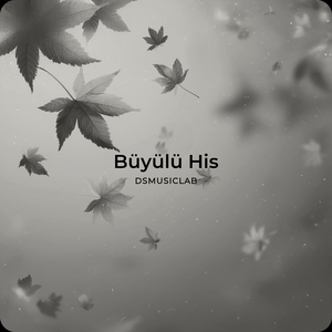 Büyülü His