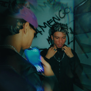 NEGÓCIOS DA GANG (feat. Leste)