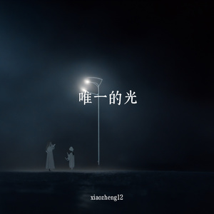 唯一的光