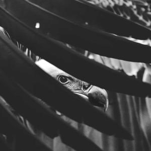 Talon's (feat. Art.Carter)