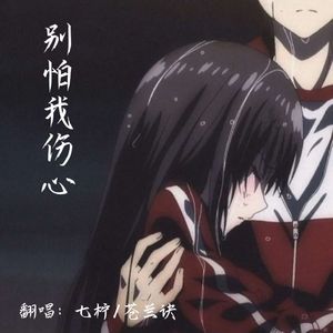 别怕我伤心