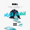 D.D.L. - MUITA GRANA