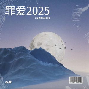 罪爱2025 (DJ默涵版)