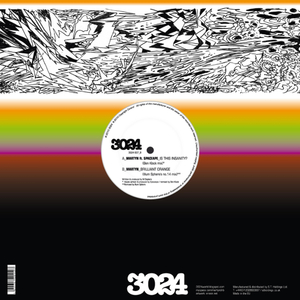 Is This Insanity? (Ben Klock Mix)