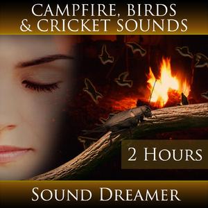 Campfire, Birds and Cricket Sounds (2 Hours)
