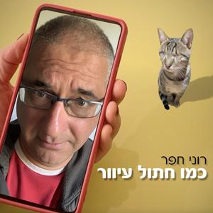 כמו חתול עיוור
