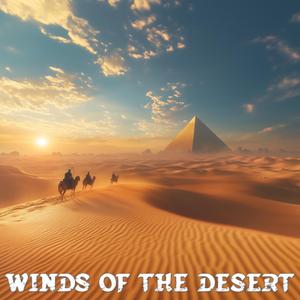 Nightfall at the dunes