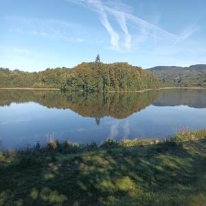 Be receptive to regeneration