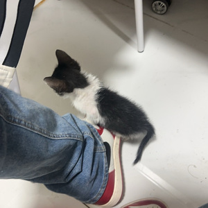 【Free】“First one” Type Beat