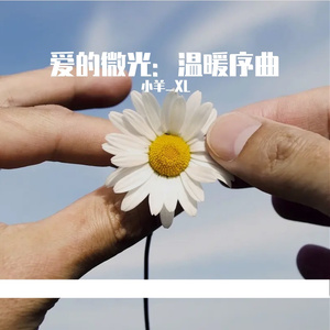 水晶鞋的午夜十二点