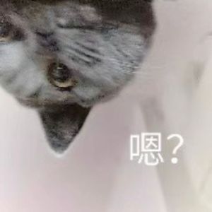 说客
