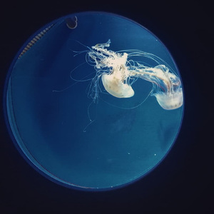 生きてるだけで偉い訳ないでしょ