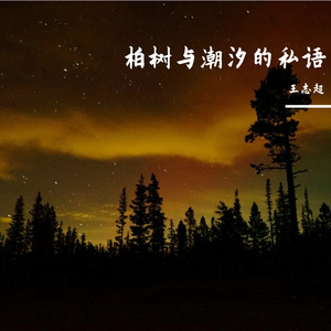 柏树与潮汐的私语