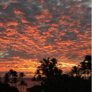 Flash In The Pants (Instrumental)