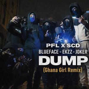 Dump (feat. PFL GANG 2660 & SCD) (Ghana Girl Remix)