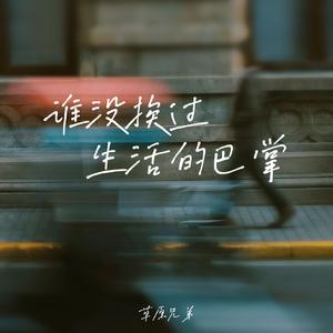 谁没挨过生活的巴掌