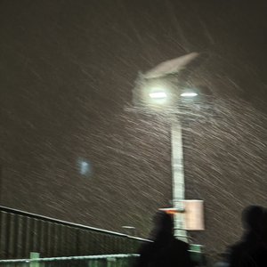 雪落无响