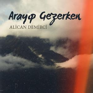 Arayıp Gezerken