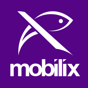 No Ritmo da Mobilidade (Live)