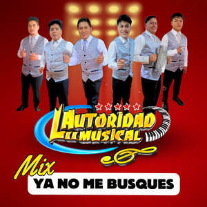 YA NO ME BUSQUES (MIX)