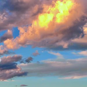 路遥马急处的人间梦