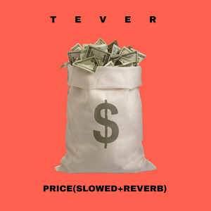 Price(Slowed+Reverb)
