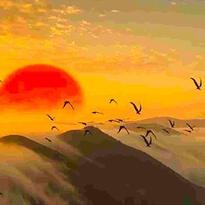 青瓷烟雨的旋律 (1)