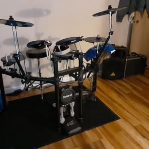 Chicken Town aka Key West