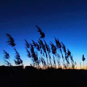 总有一天你会出现在我身边