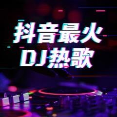 春庭雪 (DJ名龙版)