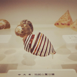 如果我生来就是海鸥（demo）